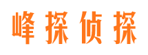 上林市调查公司